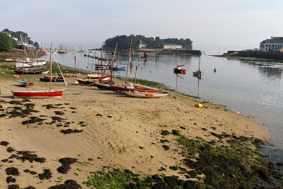 1905 Fetes maritimes de Douarnenez 2014 - IMG_1756_DxO Pbase.jpg