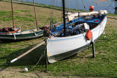 1976 Fetes maritimes de Douarnenez 2014 - MK3_7657_DxO Pbase.jpg