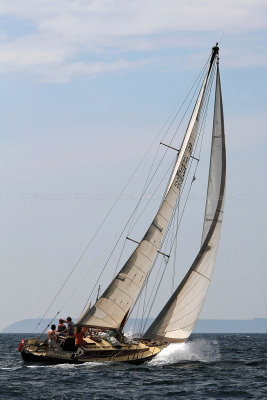 2474 Fetes maritimes de Douarnenez 2014 - MK3_8011_DxO Pbase.jpg