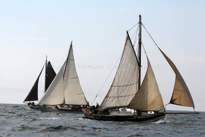 2684 Fetes maritimes de Douarnenez 2014 - MK3_8097_DxO Pbase.jpg