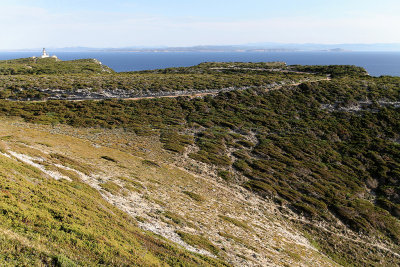 1149 Une semaine en Corse du sud - A week in south Corsica -  IMG_9043_DxO Pbase.jpg