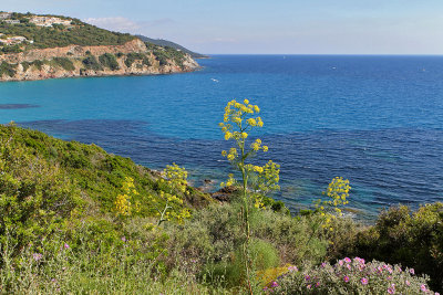 1158 Une semaine en Corse du sud - A week in south Corsica -  IMG_9055_DxO Pbase.jpg