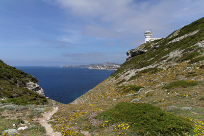 1380 Une semaine en Corse du sud - A week in south Corsica -  IMG_9292_DxO Pbase.jpg