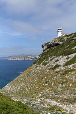 1381 Une semaine en Corse du sud - A week in south Corsica -  IMG_9293_DxO Pbase.jpg