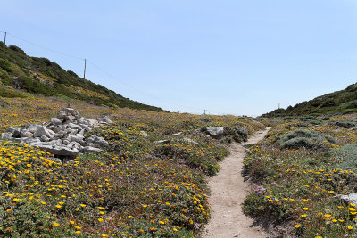 1382 Une semaine en Corse du sud - A week in south Corsica -  IMG_9294_DxO Pbase.jpg