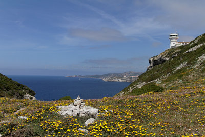 1383 Une semaine en Corse du sud - A week in south Corsica -  IMG_9295_DxO Pbase.jpg
