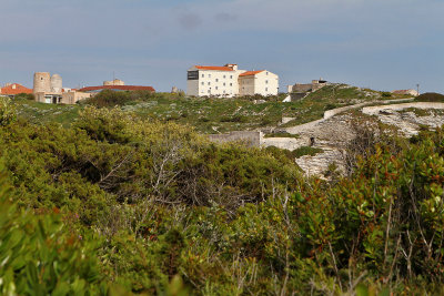 1631 Une semaine en Corse du sud - A week in south Corsica -  IMG_9551_DxO Pbase.jpg