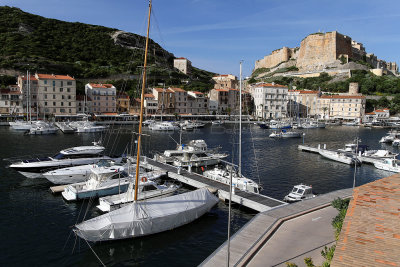 1694 Une semaine en Corse du sud - A week in south Corsica -  IMG_9611_DxO Pbase.jpg