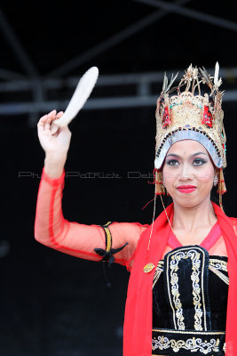 100 Festival International de cerf volant de Dieppe 2014 -  MK3_8640_DxO Pbase.jpg