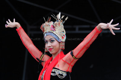 93 Festival International de cerf volant de Dieppe 2014 -  MK3_8633_DxO Pbase.jpg