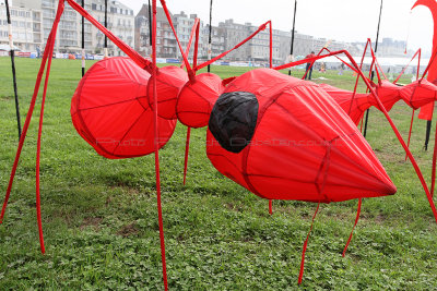 414 Festival International de cerf volant de Dieppe 2014 -  IMG_2989_DxO Pbase.jpg