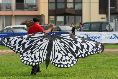 439 Festival International de cerf volant de Dieppe 2014 -  MK3_8863_DxO Pbase.jpg