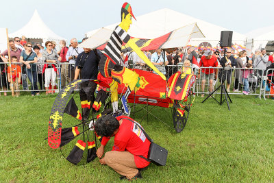 542 Festival International de cerf volant de Dieppe 2014 -  IMG_3078_DxO Pbase.jpg