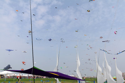 561 Festival International de cerf volant de Dieppe 2014 -  IMG_3093_DxO Pbase.jpg