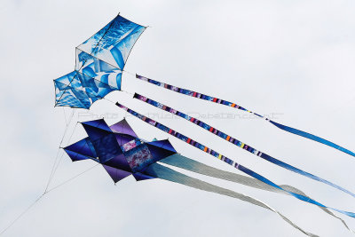 564 Festival International de cerf volant de Dieppe 2014 -  MK3_8883_DxO Pbase.jpg