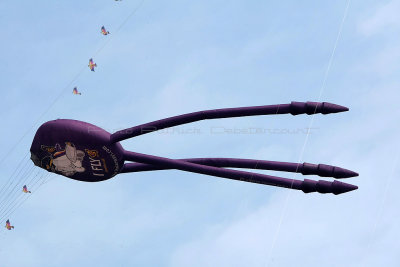 584 Festival International de cerf volant de Dieppe 2014 -  MK3_8895_DxO Pbase.jpg
