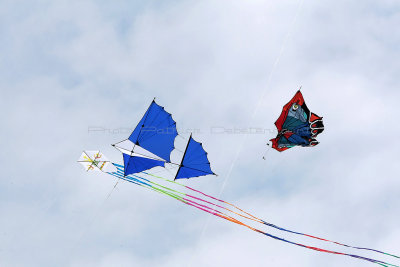 587 Festival International de cerf volant de Dieppe 2014 -  MK3_8898_DxO Pbase.jpg