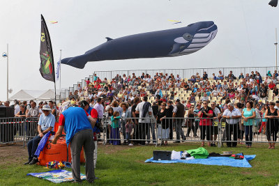 589 Festival International de cerf volant de Dieppe 2014 -  IMG_3103_DxO Pbase.jpg
