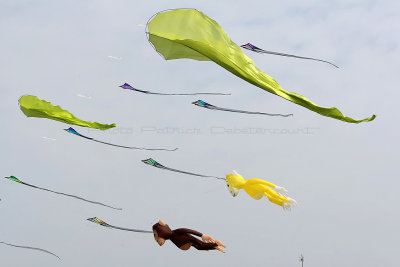 598 Festival International de cerf volant de Dieppe 2014 -  MK3_8907_DxO Pbase.jpg