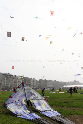 610 Festival International de cerf volant de Dieppe 2014 -  IMG_3104_DxO Pbase.jpg