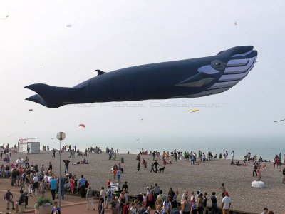 611 Festival International de cerf volant de Dieppe 2014 -  IMG_5718_DxO Pbase.jpg