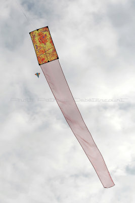 673 Festival International de cerf volant de Dieppe 2014 -  MK3_8965_DxO Pbase.jpg