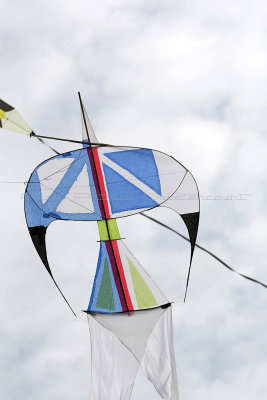 681 Festival International de cerf volant de Dieppe 2014 -  MK3_8972_DxO Pbase.jpg