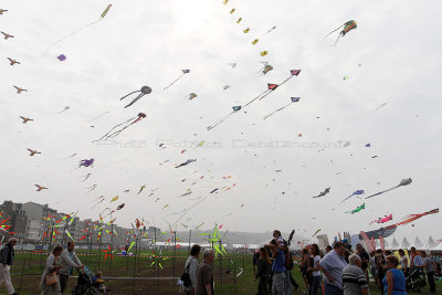 708 Festival International de cerf volant de Dieppe 2014 -  IMG_3108_DxO Pbase.jpg