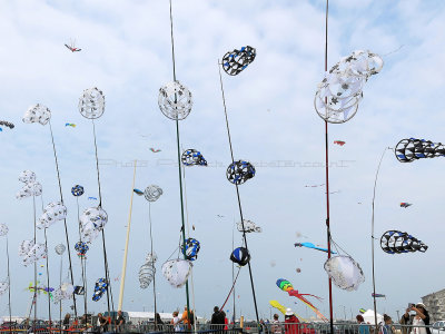 717 Festival International de cerf volant de Dieppe 2014 -  IMG_5734_DxO Pbase.jpg