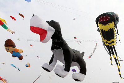 764 Festival International de cerf volant de Dieppe 2014 -  IMG_3132_DxO Pbase.jpg