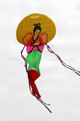 769 Festival International de cerf volant de Dieppe 2014 -  MK3_9022_DxO Pbase.jpg