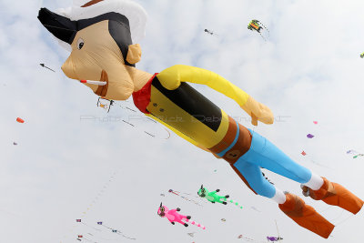 800 Festival International de cerf volant de Dieppe 2014 -  IMG_3142_DxO Pbase.jpg