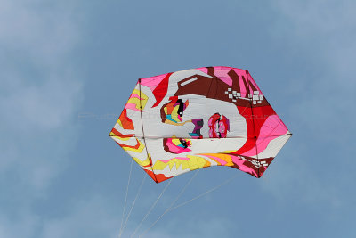 833 Festival International de cerf volant de Dieppe 2014 -  MK3_9054_DxO Pbase.jpg