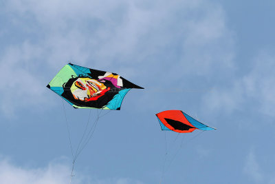 836 Festival International de cerf volant de Dieppe 2014 -  MK3_9057_DxO Pbase.jpg