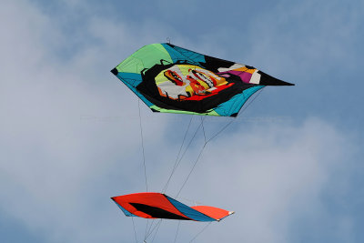 840 Festival International de cerf volant de Dieppe 2014 -  MK3_9061_DxO Pbase.jpg