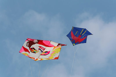 843 Festival International de cerf volant de Dieppe 2014 -  MK3_9064_DxO Pbase.jpg