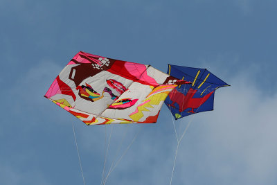 844 Festival International de cerf volant de Dieppe 2014 -  MK3_9065_DxO Pbase.jpg