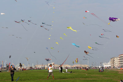 854 Festival International de cerf volant de Dieppe 2014 -  MK3_9075_DxO Pbase.jpg