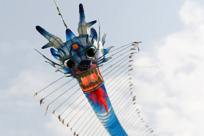 878 Festival International de cerf volant de Dieppe 2014 -  MK3_9089_DxO Pbase.jpg