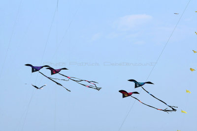 894 Festival International de cerf volant de Dieppe 2014 -  MK3_9105_DxO Pbase.jpg