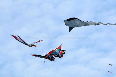 895 Festival International de cerf volant de Dieppe 2014 -  MK3_9106_DxO Pbase.jpg