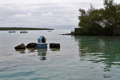 92 Mauritius island - Ile Maurice 2014 - IMG_4508_DxO Pbase.jpg
