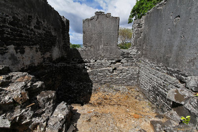 399 Mauritius island - Ile Maurice 2014 - IMG_4819_DxO Pbase.jpg
