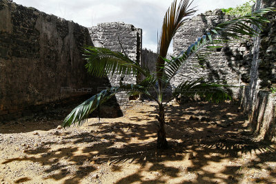 400 Mauritius island - Ile Maurice 2014 - IMG_4820_DxO Pbase.jpg