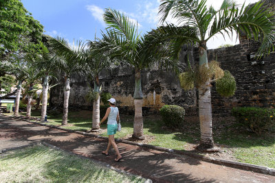 403 Mauritius island - Ile Maurice 2014 - IMG_4823_DxO Pbase.jpg