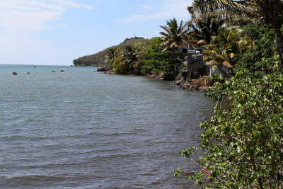407 Mauritius island - Ile Maurice 2014 - IMG_4827_DxO Pbase.jpg