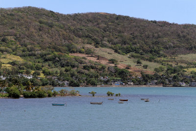 412 Mauritius island - Ile Maurice 2014 - IMG_4832_DxO Pbase.jpg