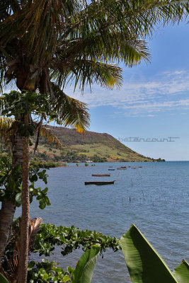 414 Mauritius island - Ile Maurice 2014 - IMG_4834_DxO Pbase.jpg