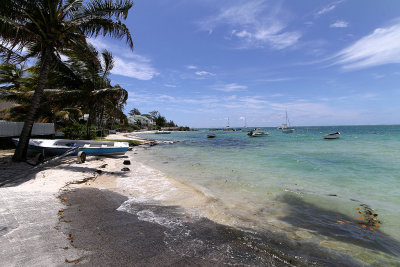 429 Mauritius island - Ile Maurice 2014 - IMG_4849_DxO Pbase.jpg