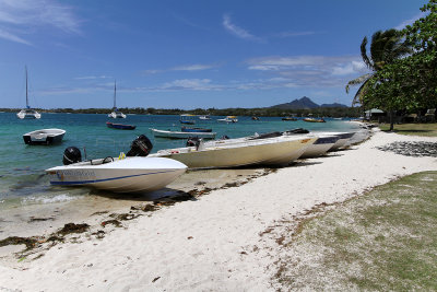 432 Mauritius island - Ile Maurice 2014 - IMG_4852_DxO Pbase.jpg